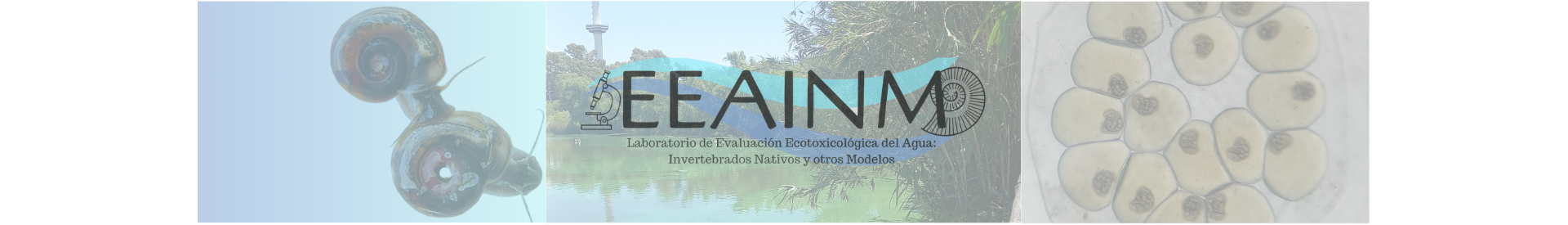 Diseño sin título (6)